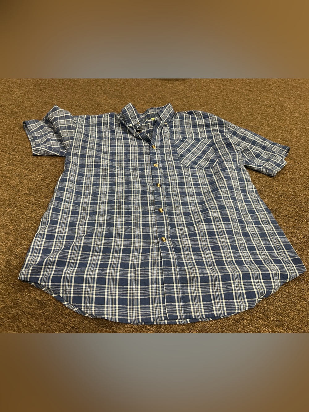 EUC Ordinary Life Casual Shirt Robinson Men's SS Blue Plaid Button-Up Shirt LL